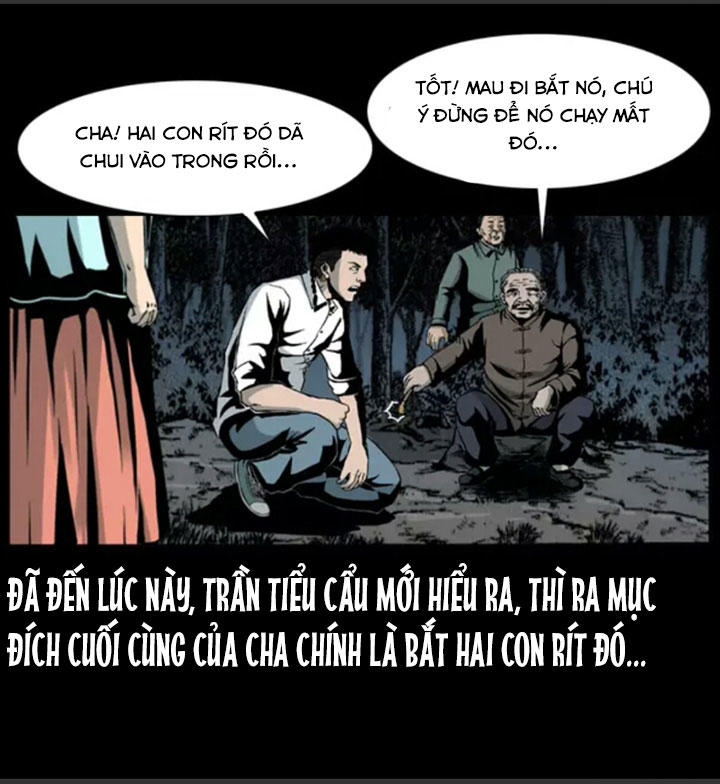 Chương 6