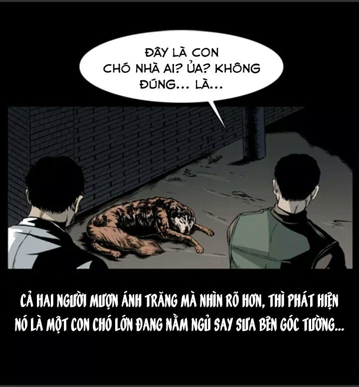 Chương 7
