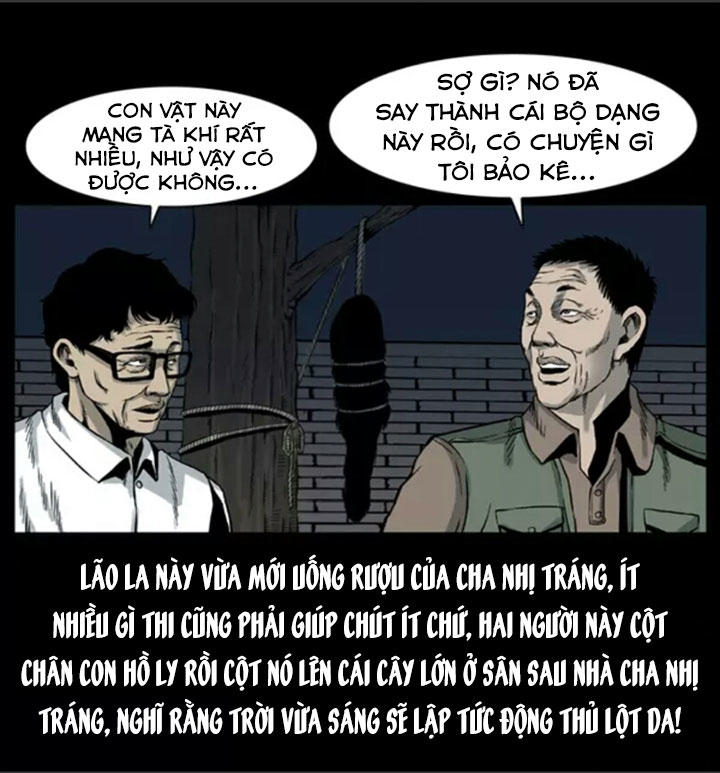 Chương 7