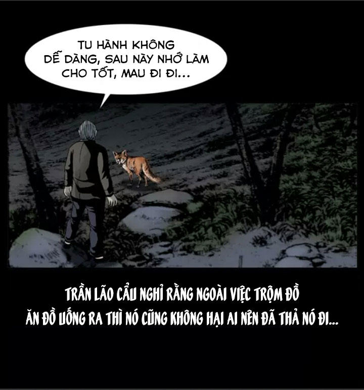 Chương 7
