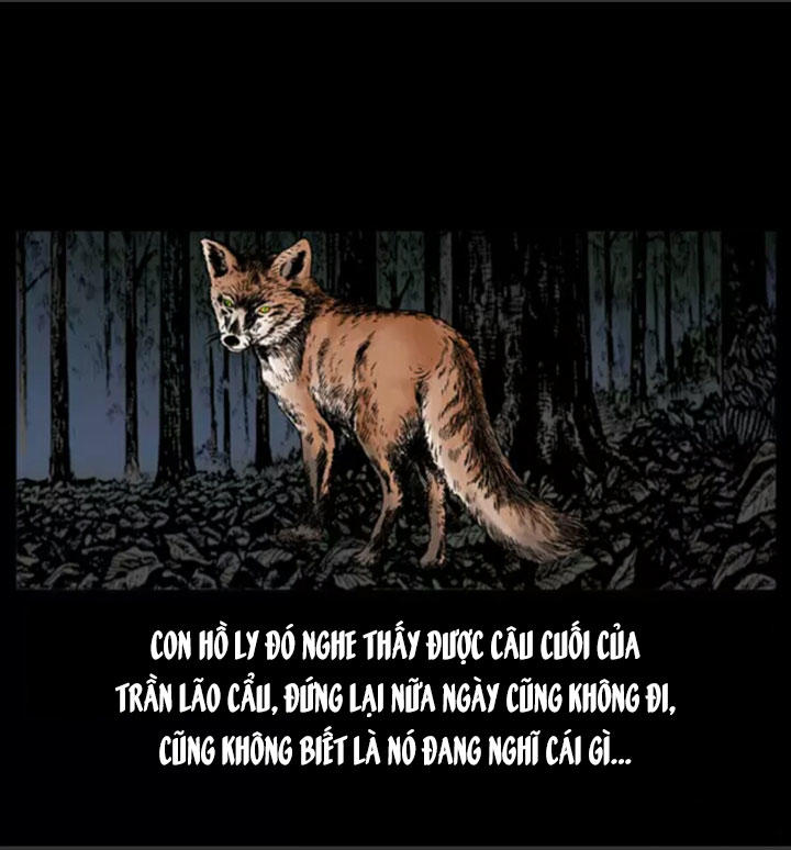 Chương 7