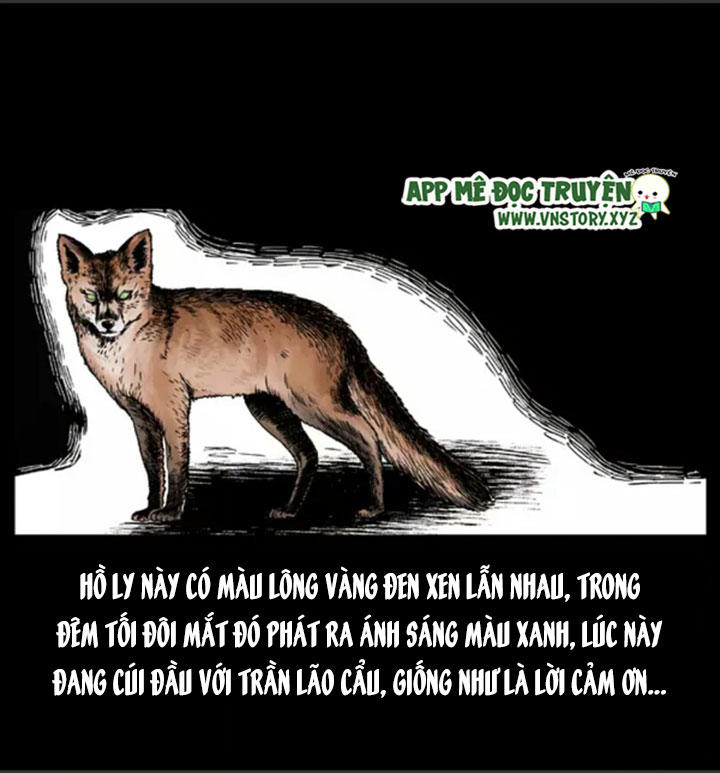 Chương 7