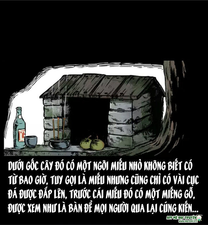 Chương 8