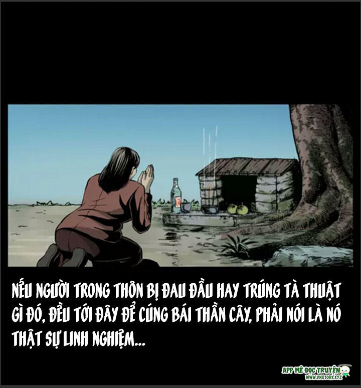 Chương 8