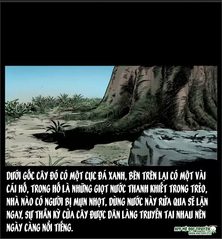 Chương 8