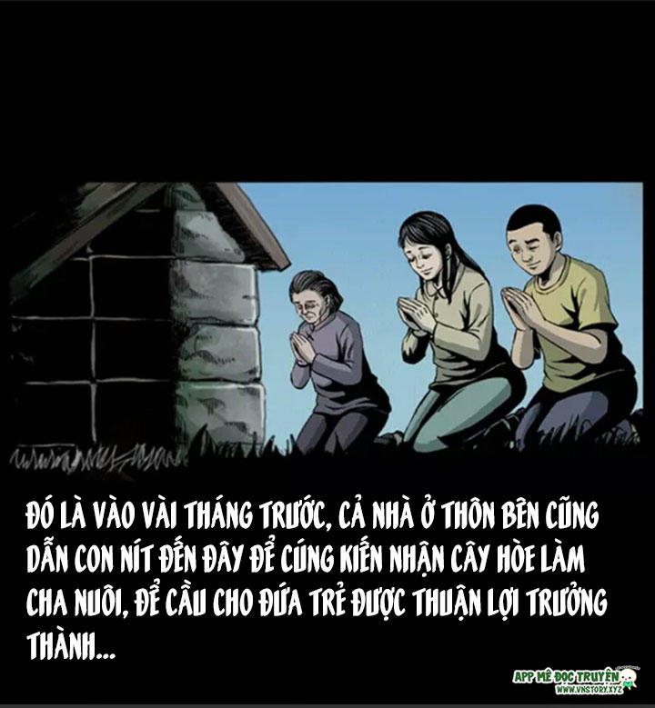 Chương 8