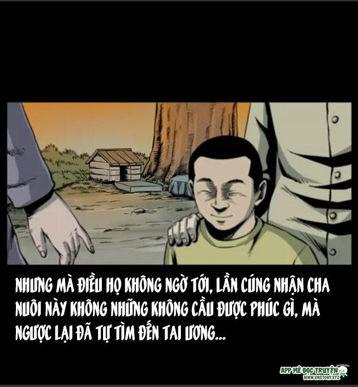 Chương 8
