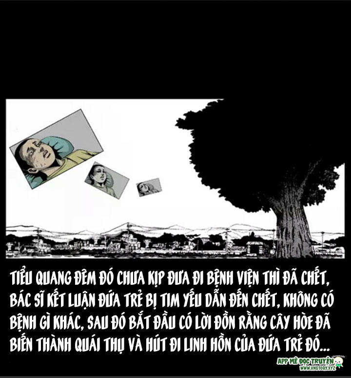 Chương 8