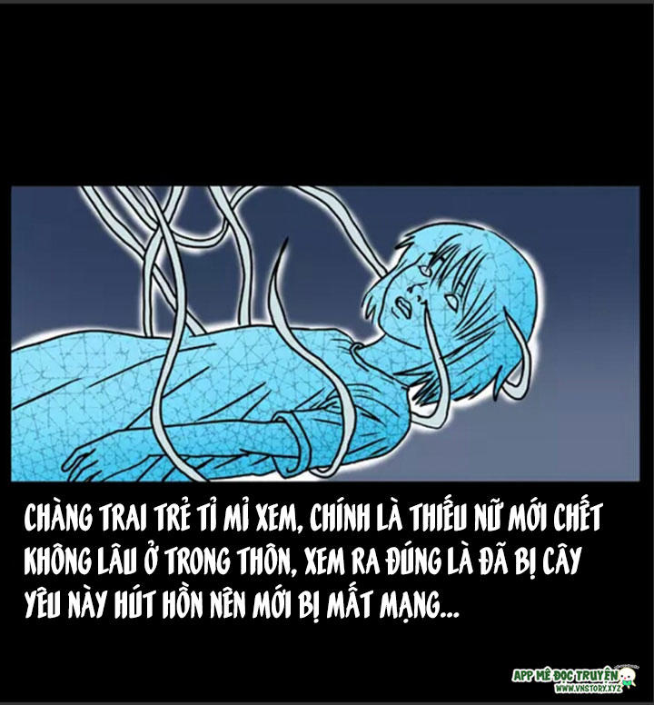 Chương 8