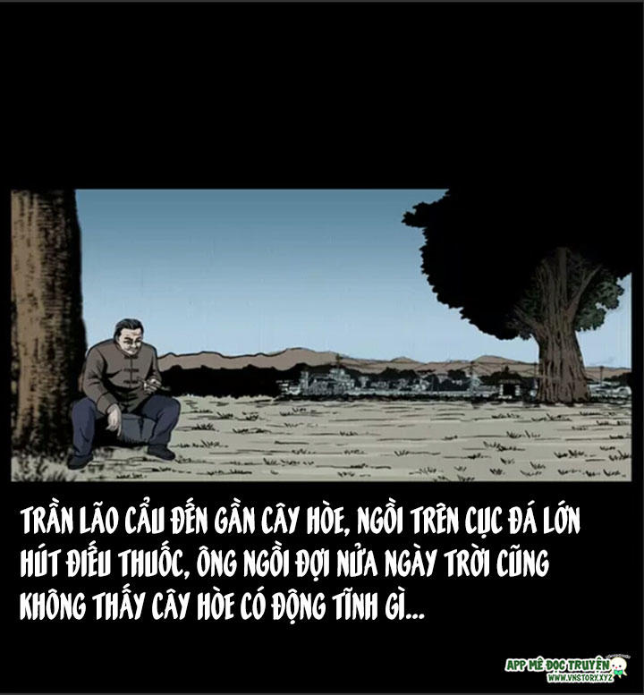 Chương 8