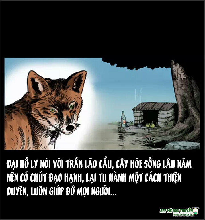 Chương 8