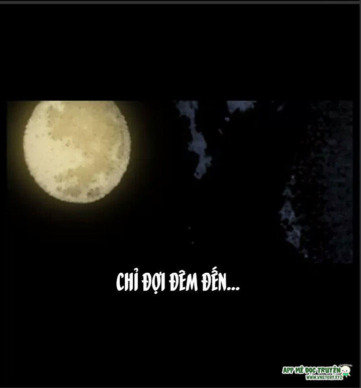 Chương 8