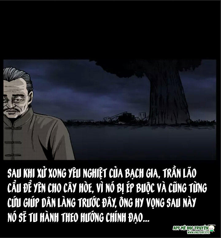 Chương 8