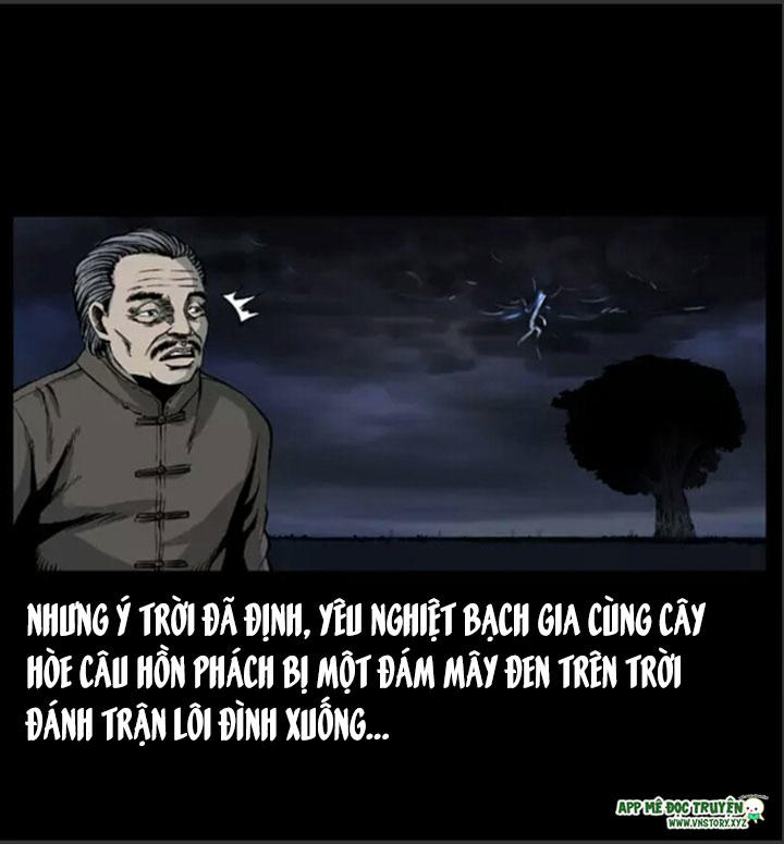 Chương 8
