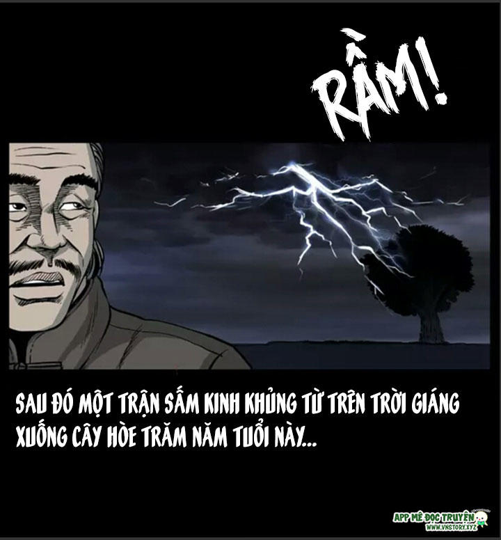 Chương 8