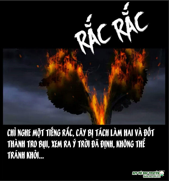 Chương 8