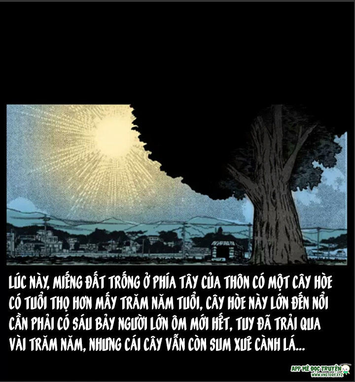 Chương 8
