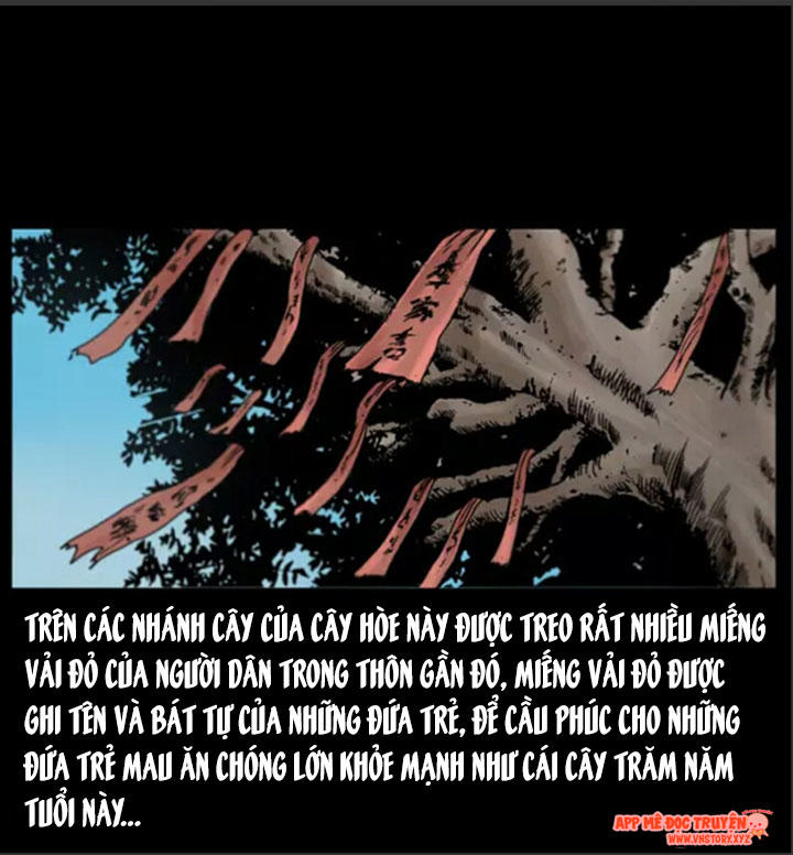 Chương 8