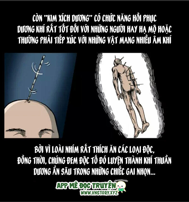 Chương 9