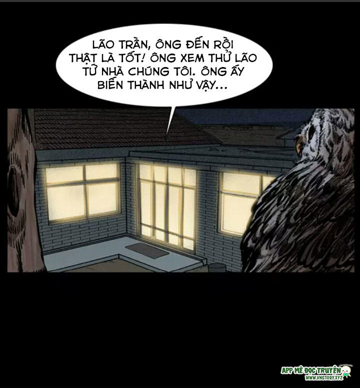 Chương 10