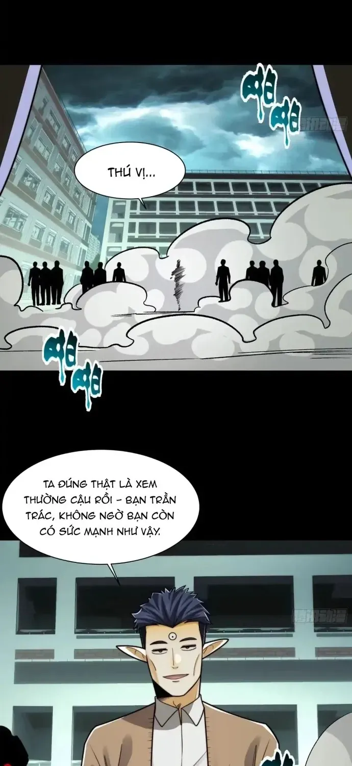 Chương 213