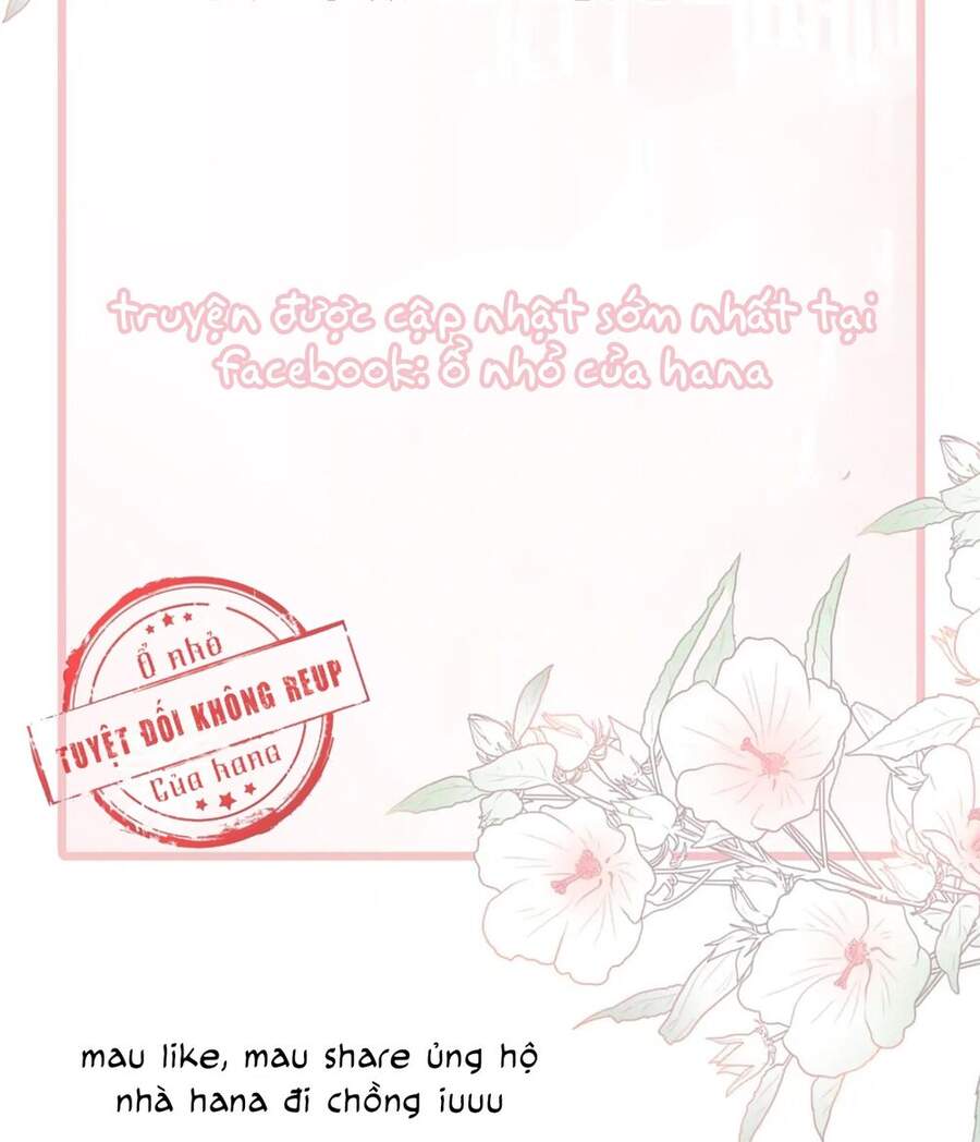 Chương 43