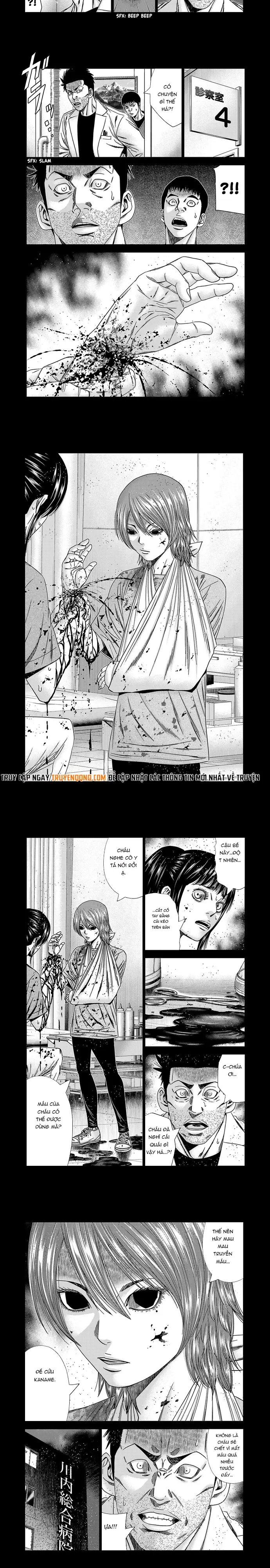 Chương 229