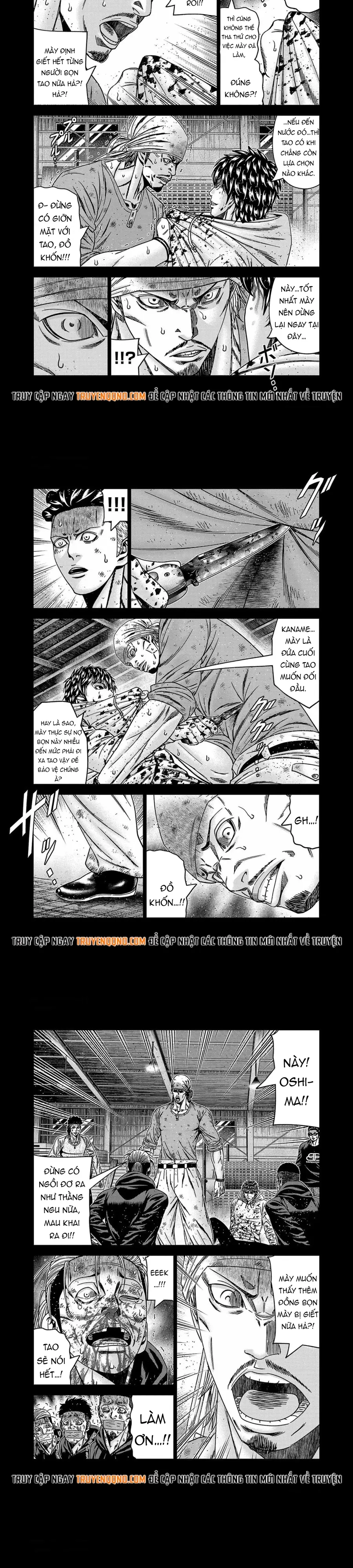 Chương 244