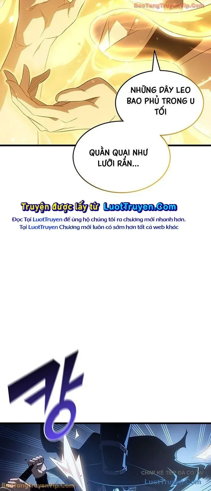 Chương 240