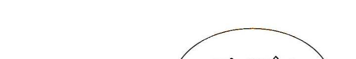 Chương 328