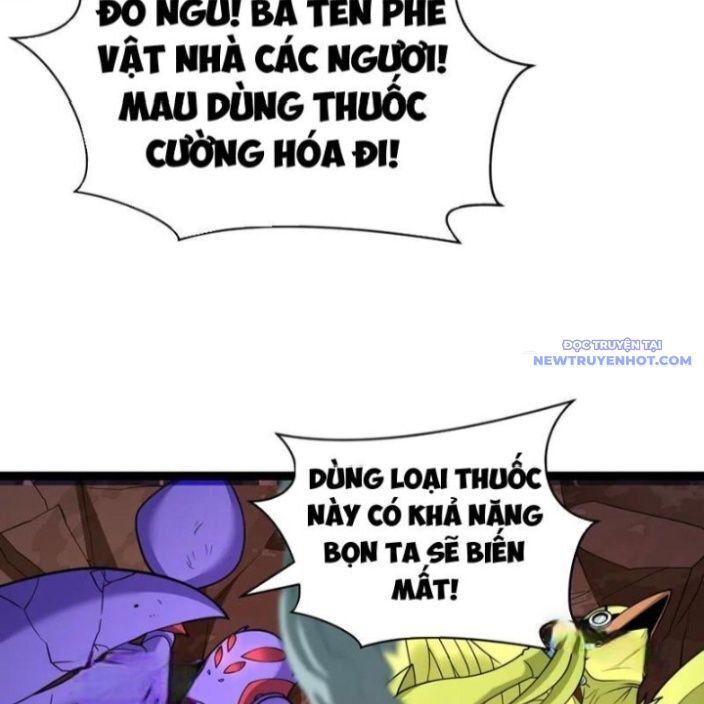Chương 428
