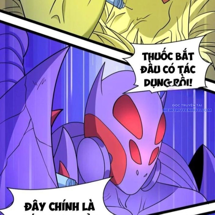 Chương 428