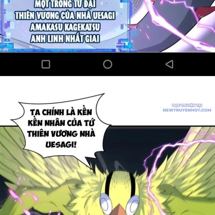 Chương 428