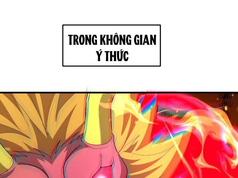 Chương 558