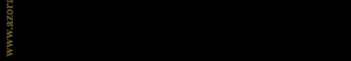 Chương 99