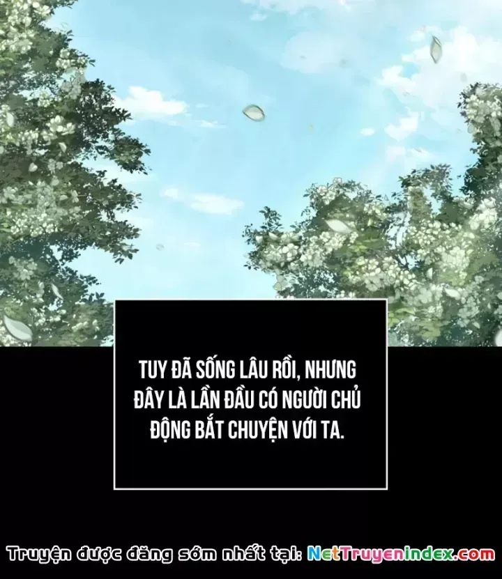 Chương 295