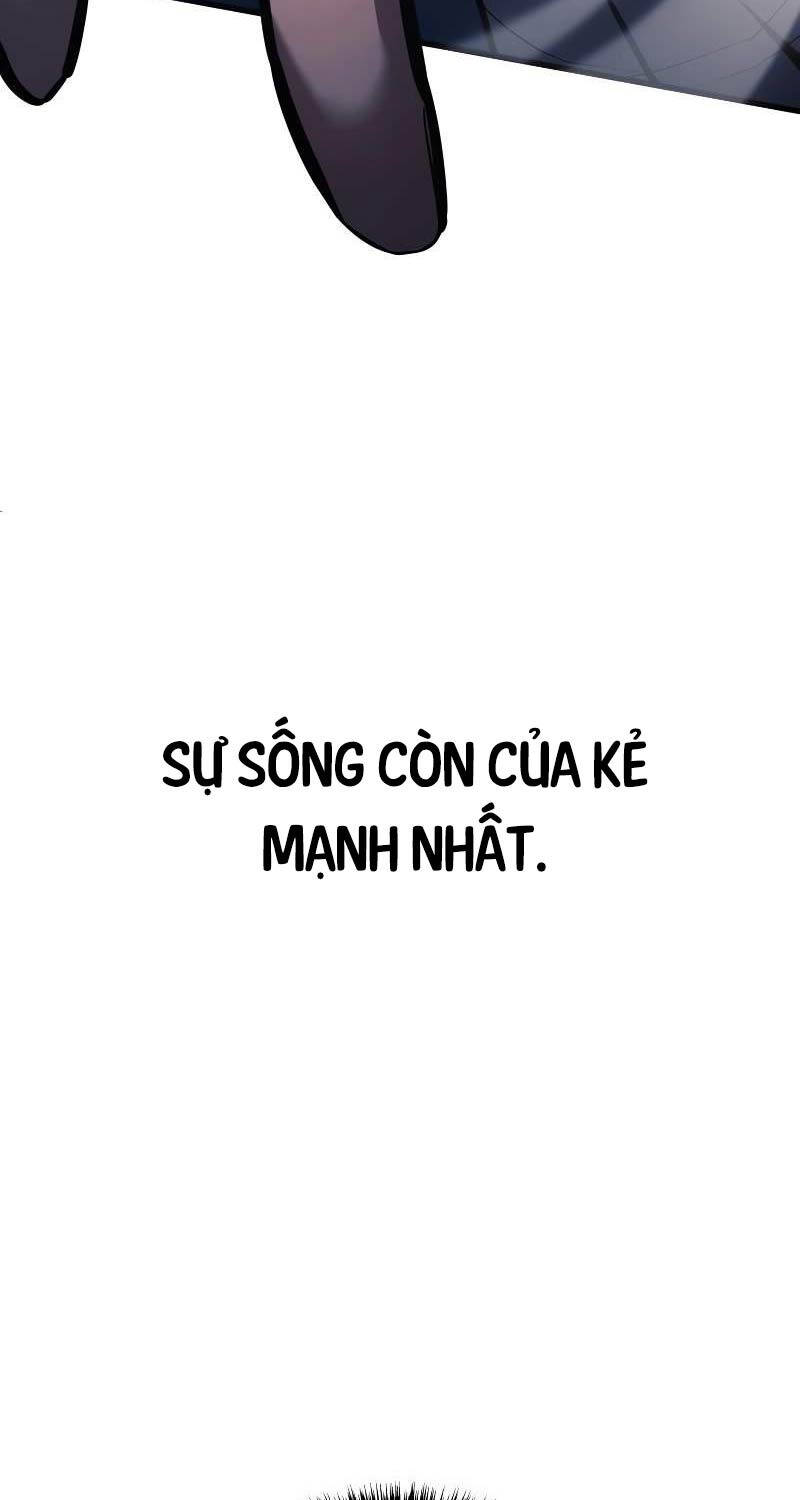 Chương 8