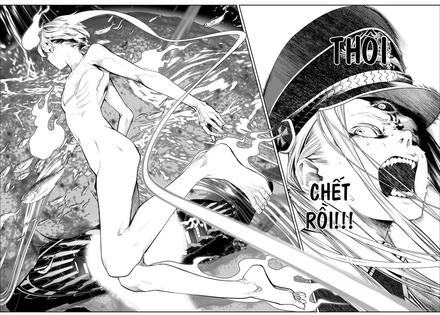 Chương 43
