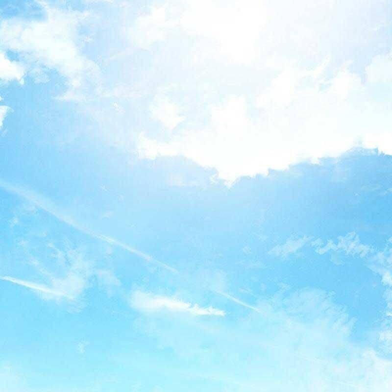 Chương 29