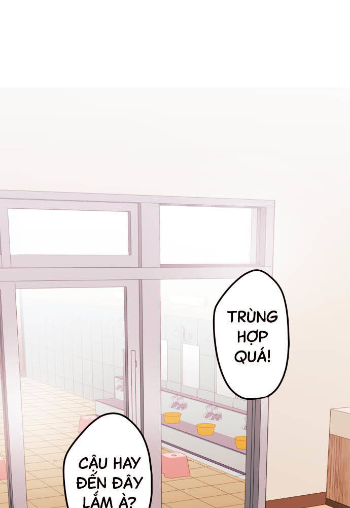 Chương 22