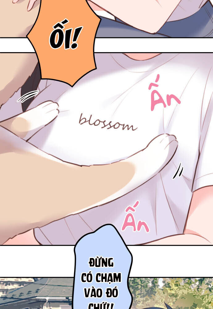 Chương 67