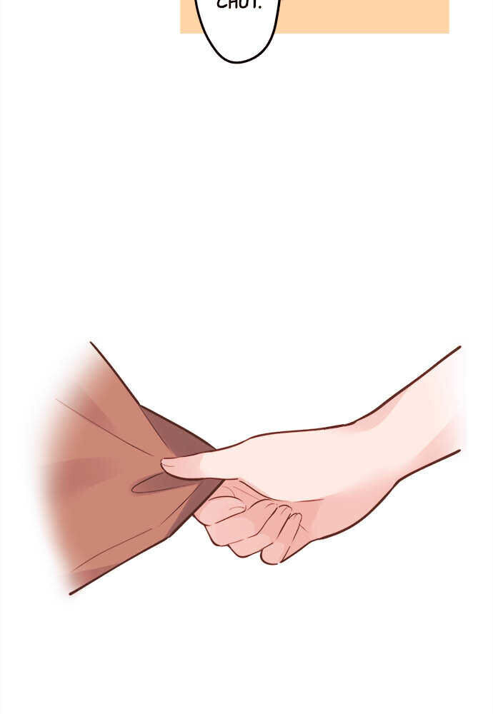 Chương 8