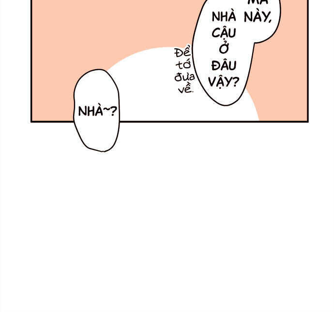 Chương 10