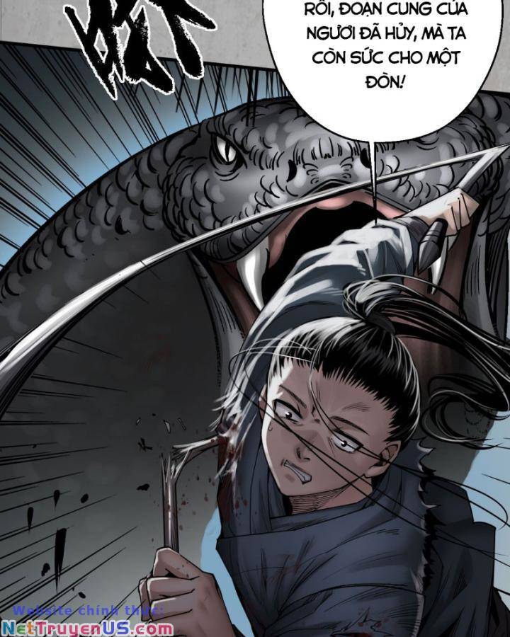 Chương 203