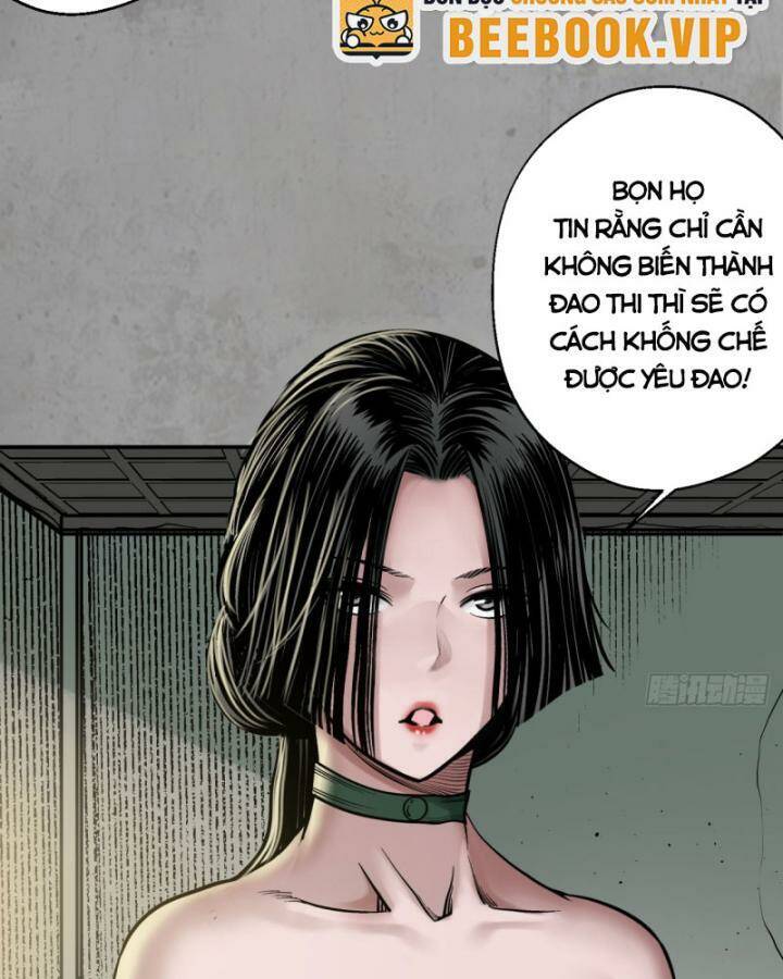 Chương 216