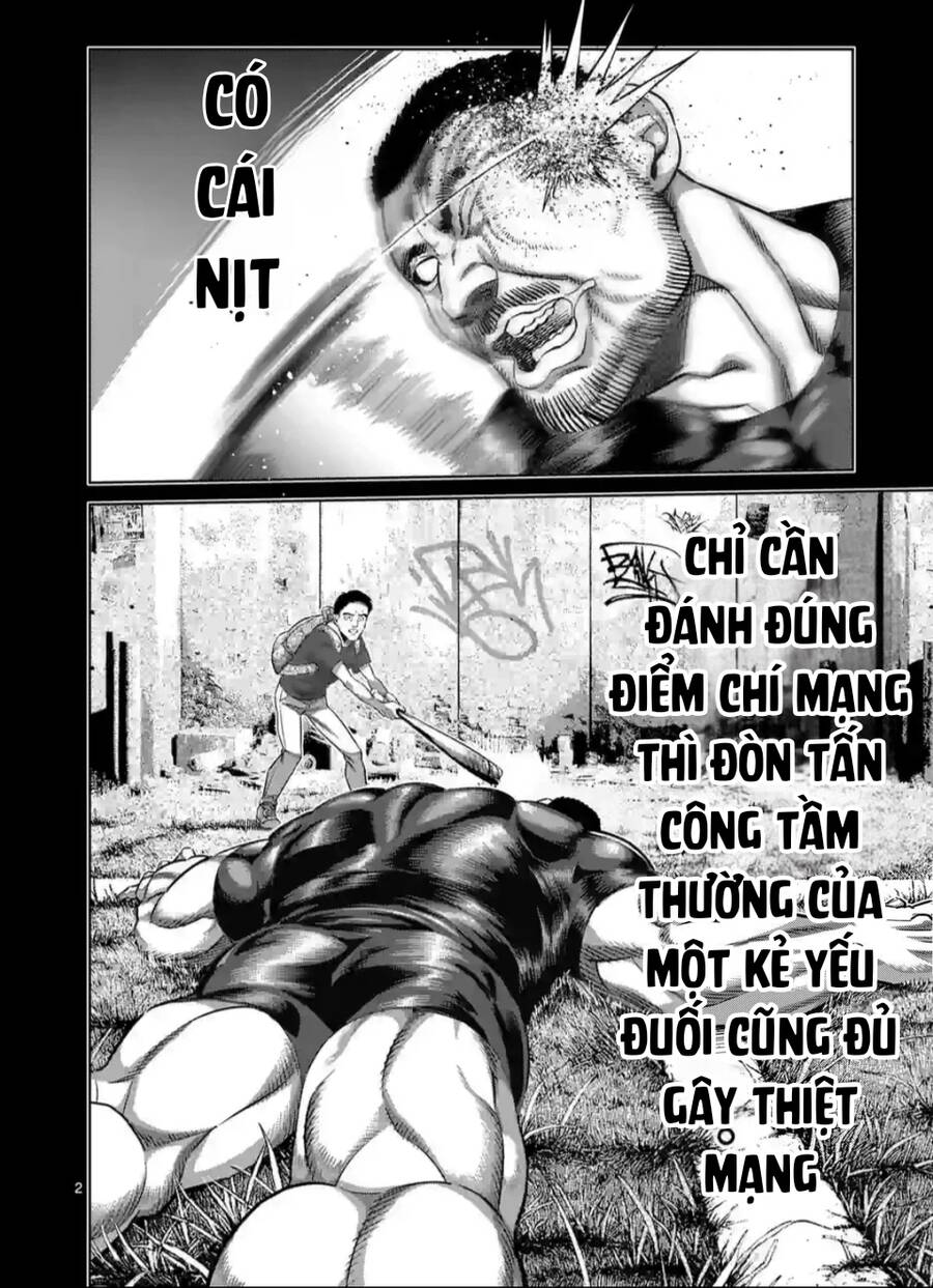 Chương 239