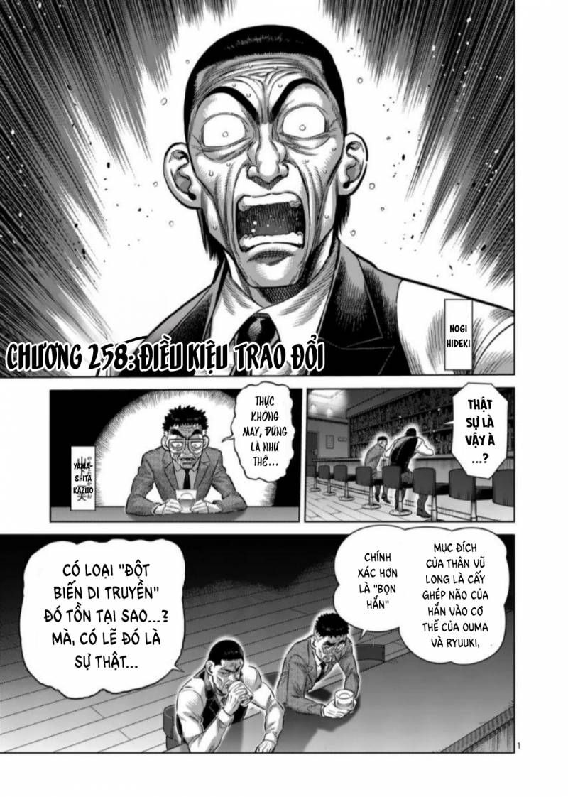 Chương 258.1