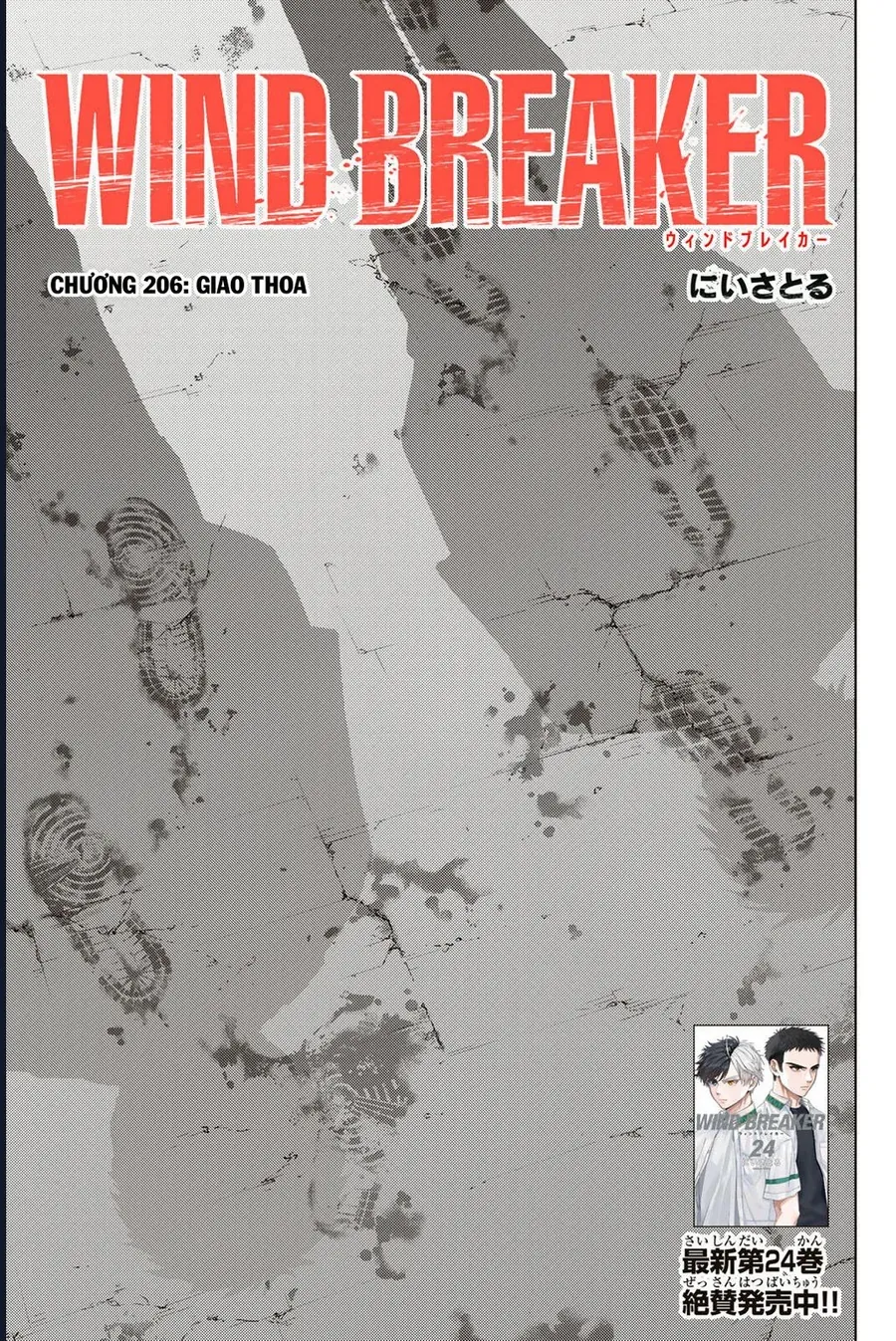 Chương 206