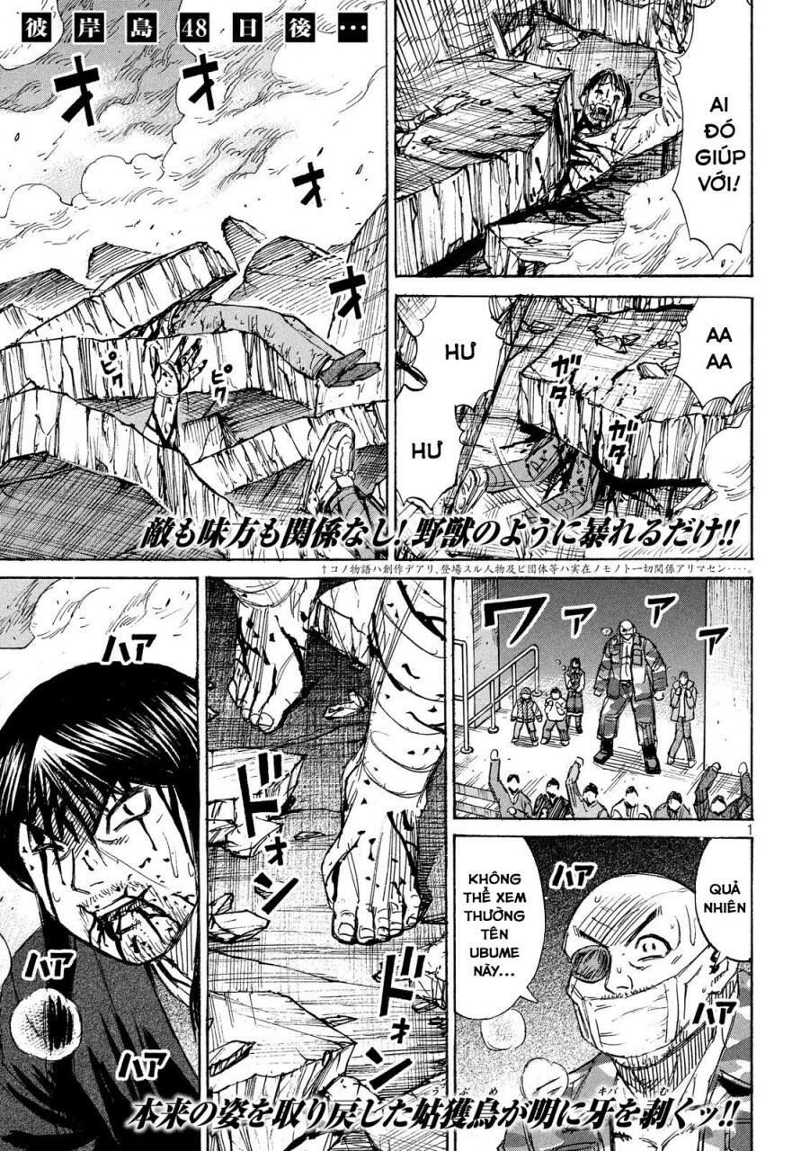 Chương 217