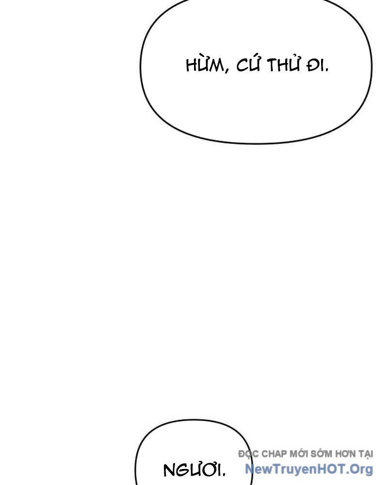 Chương 5